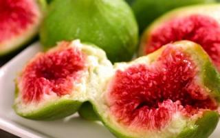 桑葚叶的功效与作用