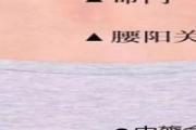 中膂俞的功能主治及作用 中膂俞的准确位置图片