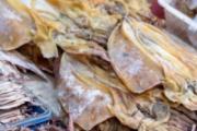 墨鱼干怎么泡发 干墨鱼怎样选是最好的