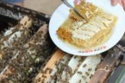 蜂胶吃了有什么好处 蜂胶的功效与作用