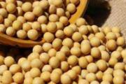 吃什么能预防子宫癌 这5种食物一定要知道！