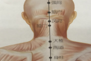 脑户的准确位置图片 脑户的准确位置和作用