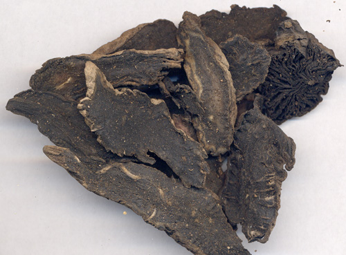 体质不好怎么调理