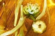 金银花能与菊花一起泡水喝吗 金银花和菊花一起泡水喝的功效