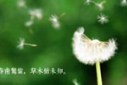 惊蛰节气养生常识