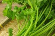香菜和猪肉能同食吗 香菜怎样保存才放得久
