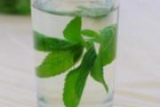 经常熬夜喝什么茶好 5种茶帮你驱除熬夜上火