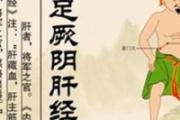 肝经的作用与功效 肝经不通的症状