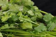 香菜的功效与作用禁忌