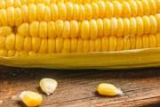 玉米煮15分钟可以了吗 玉米煮熟是什么样子的