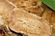 牛蒡根可以直接泡水喝吗 牛蒡根可以吃下去吗