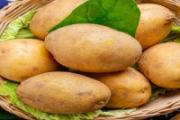 土豆可以放冰箱里吗 土豆最简单的保存方法
