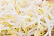 豆芽买多了可以放冰箱吗 黄豆芽放冰箱可以放几天