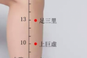 玉米须可以去湿气吗 湿气重怎么吃玉米须