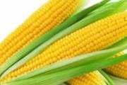 老人脑血栓吃什么好 8种食物要常吃