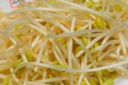 黄豆芽的根可以吃吗 黄豆芽发黑了还能吃吗