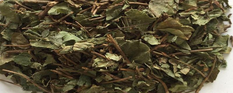 草红藤的功效与作用 草红藤的注意事项草红藤