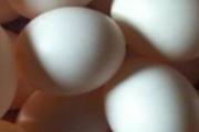 鸽子蛋可以炒西红柿吗 鸽子蛋怎么炒西红柿