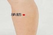 承筋的准确位置图视频 按摩承筋功效