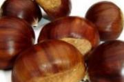 什么食物开胃健脾 这9种你都知道吗