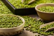 绿豆为什么会发芽 绿豆发芽了还能煮粥吗