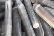 蛏子为什么不直接挖 挖蛏子最好用的工具