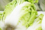 白菜怎样挑选 白菜有什么营养