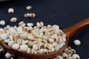 薏米怎么吃最除湿 除湿薏米炒还是不炒