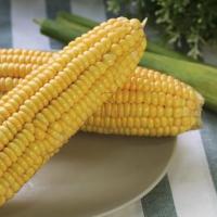 玉米的功效与作用,玉米的营养价值,玉米有什么