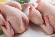 H7N9不能吃什么 教你应对H7N9禽流感