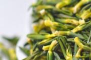 莲心和什么一起泡最好 莲心泡水一次放几根
