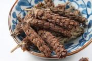 夏枯草和蒲公英可以一起泡水喝吗 夏枯草和蒲公英的功效