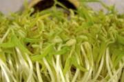 吃什么食物去湿气
