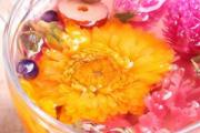 菊花泡水喝的功效 菊花可以和枸杞一起泡水喝吗
