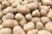 吃山药豆舌头发麻怎么回事 新鲜山药豆煮多久能熟