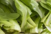 鸡毛菜的热量是多少 鸡毛菜的营养成分