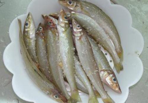 沙尖鱼肉的脂肪含量一般比较低,3防止血栓形成沙尖鱼中富含维生素a,铁