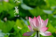大暑天气吃什么最好 大暑吃什么好