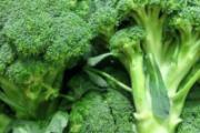 幽门螺杆菌吃什么食物好 抑制幽门螺杆菌吃这些食物