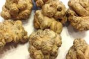三七的用法和用量 三七针对22种常见病的用法