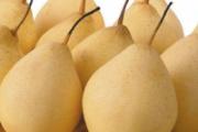 卵巢保养吃什么好 6种食物要常吃