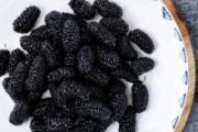 桑葚干泡水后还能吃吗 桑葚干泡水能天天喝吗