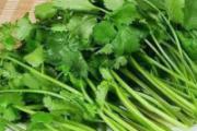 香菜不能和什么食物一起吃