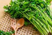 用香菜根煮水能美白吗 香菜根煮水有什么功效