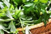 艾草煮水洗澡治湿疹吗 怎么用艾叶煮水治疗湿疹