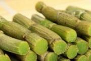 铁皮石斛怎么吃最好 铁皮石斛入膳食用更好发挥出效果