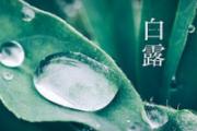 白露属于哪个季节
