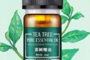 茶树精油的功效与作用 这样用你会了吗