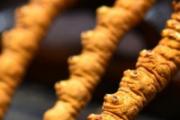 冬虫夏草可以熬粥喝吗 冬虫夏煮粥放几根