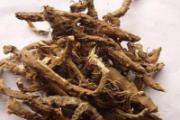 石菖蒲的功效与作用